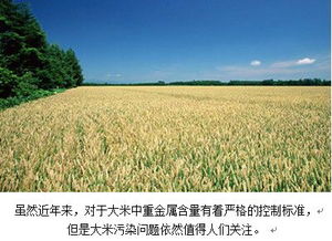 土壤重金属镉污染治理——谷腾专题土壤环境污染防治服务