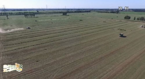 十三五期间我市土壤污染防治扎实推进，环境治理服务成效显著